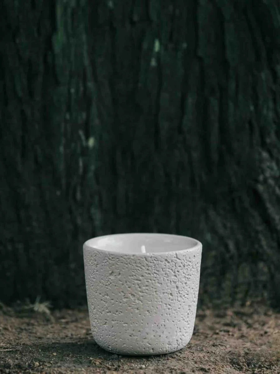 Wood Wick Soy Wax Scented Candle - Breath of Nature Scented - Fir Forest